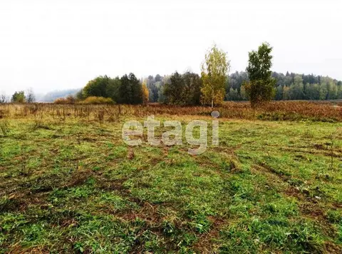 Участок в Вологодская область, с. Имени Бабушкина  (15.0 сот.)