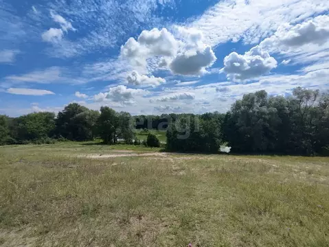 Участок в Саратовская область, Балашовский район, с. Репное ул. ...