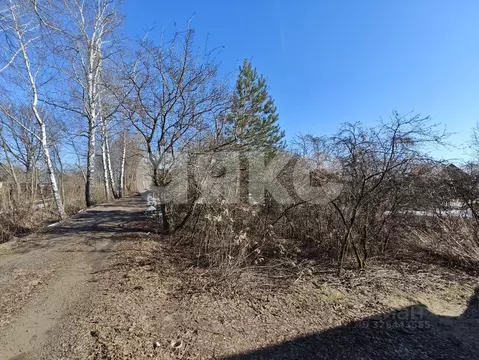 Участок в Московская область, Раменский муниципальный округ, Полет СНТ ...