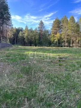 Участок в Брянская область, Навлинский район, Синезерское с/пос, д. ...