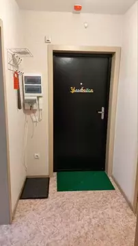 1-к кв. Воронежская область, Воронеж Московский просп., 195 (39.0 м)