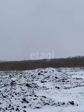 Участок в Белгородская область, Белгородский район, Головинское с/пос, ...