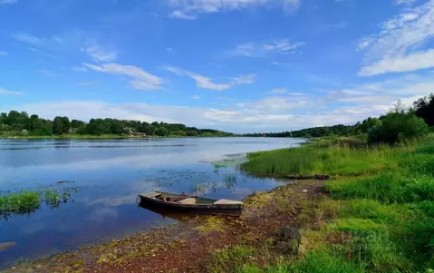 Участок в Новгородская область, Чудовский район, Трегубовское с/пос, ...