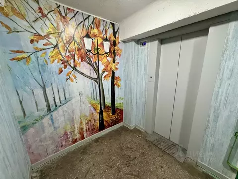 3-к кв. Липецкая область, Липецк ул. Доватора, 8 (62.9 м)