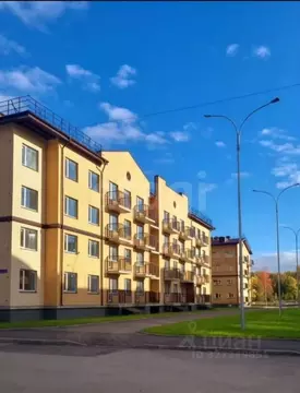 1-к кв. Ленинградская область, Всеволожский район, Романовское с/пос, ...