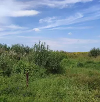 Участок в Московская область, Павлово-Посадский городской округ, д. ...