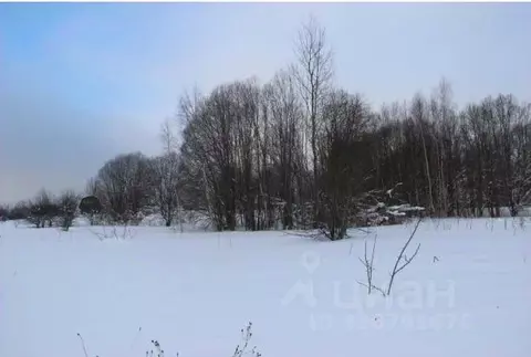 Участок в Московская область, Шаховская муниципальный округ, д. ...
