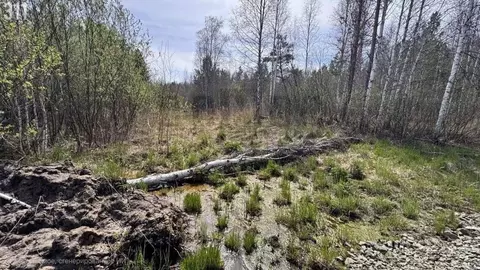 Участок в Свердловская область, Березовский муниципальный округ, пос. ...