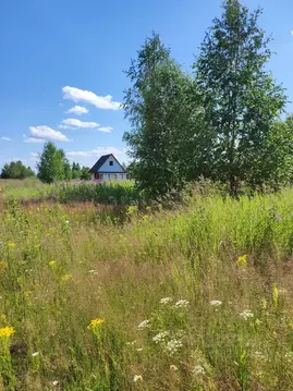 Участок в Пермский край, с. Усть-Качка, Серегино кп  (12.0 сот.)