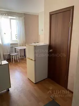Студия Тюменская область, Тюмень Колхозная ул., 186 (17.0 м)