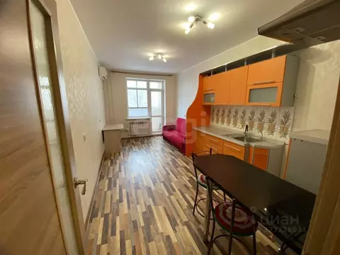 Студия Воронежская область, Воронеж ул. Туполева, 27а (25.2 м)