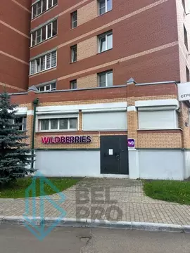 Торговая площадь в Московская область, Ивантеевка Пушкинский городской ...