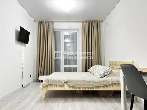 Студия Санкт-Петербург Дальневосточный просп., 23 (23.0 м)