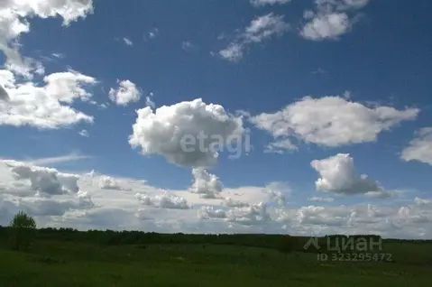 Участок в Калужская область, Козельский муниципальный округ, Покровск ...