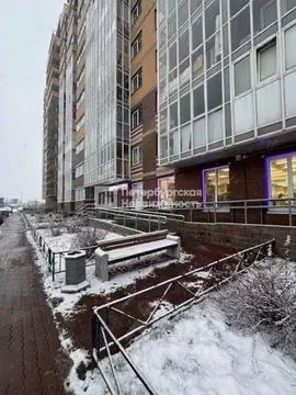 Студия Ленинградская область, Всеволожский район, Заневское городское ...