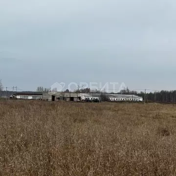 Участок в Тюменская область, Тюменский муниципальный округ, ...