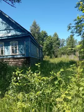Участок в Новгородская область, Маловишерский муниципальный округ, ...