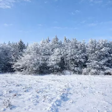 Участок в Курская область, Курский район, Пашковский сельсовет, Биолог ...