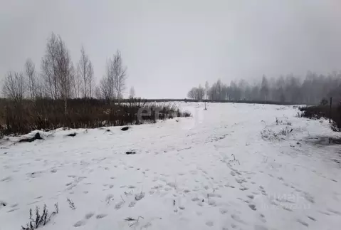 Участок в Брянская область, Брянский район, Отрадненское с/пос, д. ...