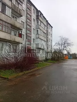 1-к кв. Ленинградская область, Выборгский район, Каменногорское ...