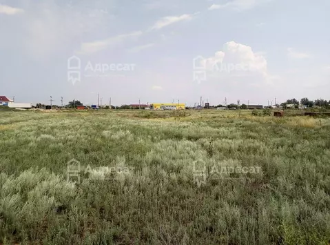 Участок в Волгоградская область, Светлоярский район, с. Большие ...