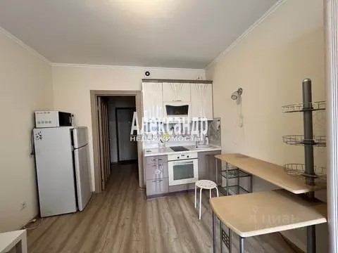 Студия Ленинградская область, Кудрово г. Всеволожский район, Заневское ...