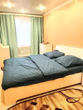 3-к кв. Нижегородская область, Заволжье г. Городецкий муниципальный ...