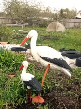 Участок в Брянская область, Фокино Юбилейный СНТ,  (6.0 сот.)