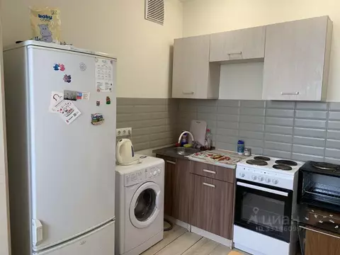 Студия Белгородская область, Белгород ул. Каштановая, 10 (27.7 м)