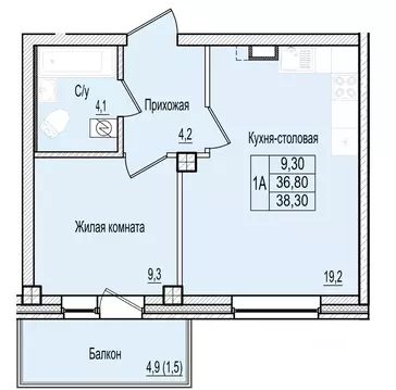 1-к кв. Псковская область, Псков Овсище исторический район,  (38.3 м)
