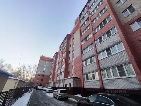 Студия Вологодская область, Череповец ул. Леднева, 9 (32.4 м)