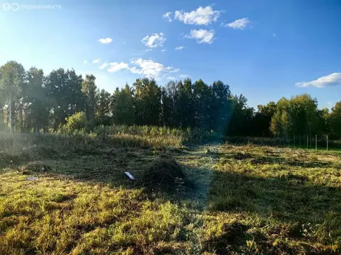 Участок в Кемеровский муниципальный округ, СНТ Наука (10.92 м)