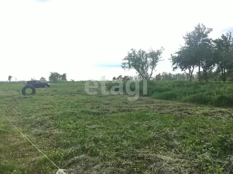 Участок в Брянская область, Брянский район, Мичуринское с/пос, ...