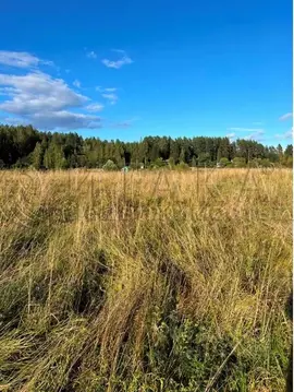 Участок в Ленинградская область, Выборг Калининский мкр,  (10.0 сот.)