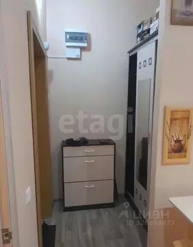 1-к кв. Иркутская область, Иркутск Ершовский мкр, 170 (35.1 м)