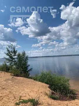 Участок в Вологодская область, Нюксенский муниципальный округ, д. Бор  ...