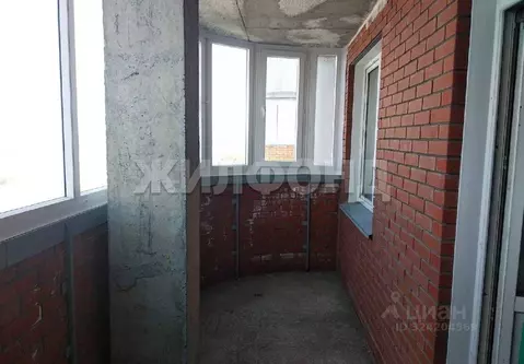 1-к кв. Новосибирская область, Новосибирск ул. Дуси Ковальчук, 238 ...