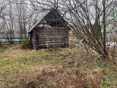 Участок в Коми, Сыктывдинский район, Лэзым муниципальное образование, ...