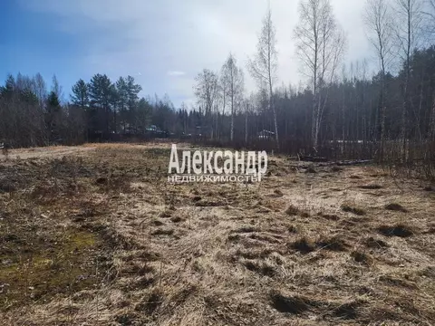 Участок в Ленинградская область, Приозерский район, Ларионовское ...