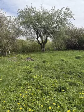 Участок в Рязанская область, Рязань Хиринская ул., 26А (7.19 сот.)