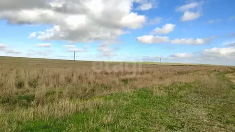 Участок в Крым, Ленинский район, Батальненское с/пос, Нептун СНТ  ...