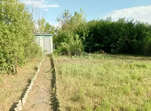 Дом в Тростянское муниципальное образование, СНТ Лужок (25 м)