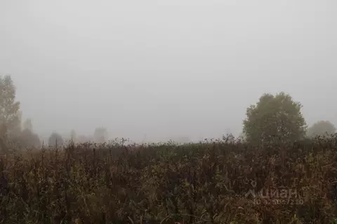 Участок в Московская область, Шаховская муниципальный округ, д. ...