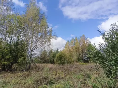 Участок в Владимирская область, Камешковский муниципальный округ, д. ...