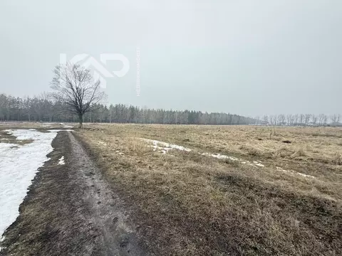 Участок в Воронежская область, Воронеж Никольское мкр, ул. Глинки (6.3 ...