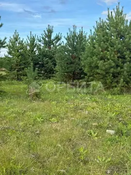 Участок в Тюменская область, Тюменский муниципальный округ, д. Елань  ...