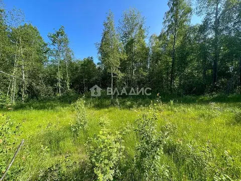 Участок в Ленинградская область, Всеволожский район, Куйвозовское ...