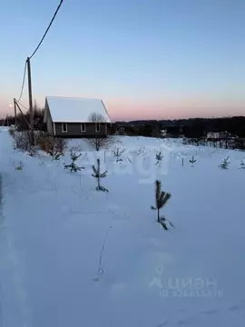 Участок в Ленинградская область, Лужский район, Толмачевское городское ...