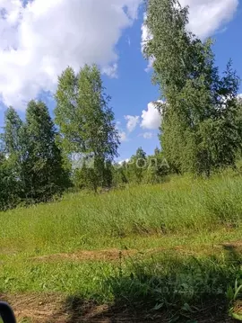 Участок в Новосибирская область, Ордынский район, Локомотив Ордынский ...