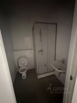 Студия Московская область, Люберцы городской округ, Мирный пгт ул. ...